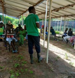 WhatsApp Image 2025-06-16 at 22.22.43